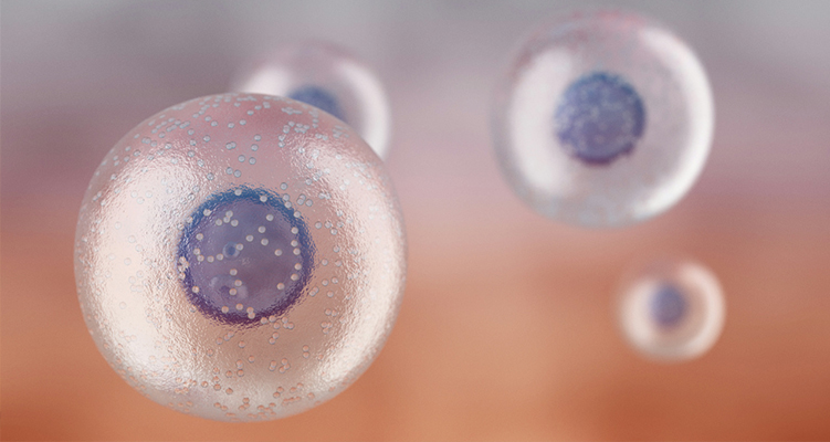 干細胞與免疫細胞9個速記